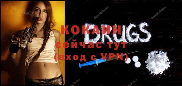 бошки Алексин