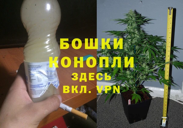 бошки Алексин