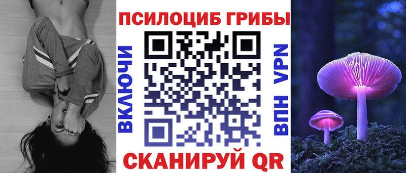 цены Всеволожск Галлюциногенные грибы прущие грибы
